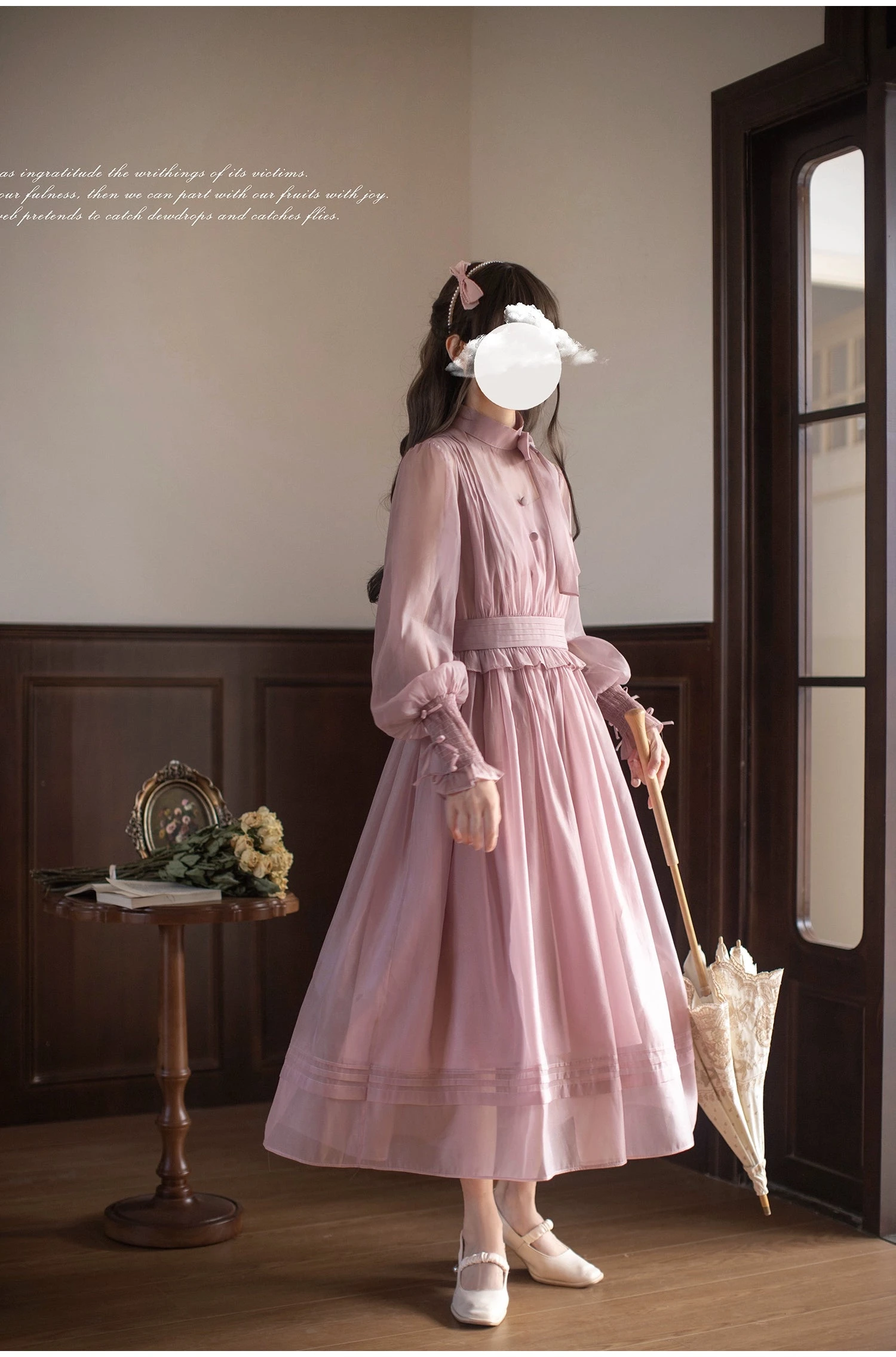 Dusty Pink Sheer Ribbon Dress 4 Dusty Pink Sheer Ribbon Dress - Image 2