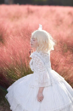 Tower Of Dawn Lace Sleeve Blouse -LOLITA Shop O1CN01Id93tU1WerJwLhHi9 11942814 aa3c2d9e ba5a 4785 a7e4 da8e03430d97