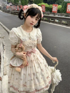 Roses Bouquet Double Lace Short Sleeve Blouse -LOLITA Shop O1CN01M8F9W41oC9YTmjzbx 921575188 372fa641 af45 4420 968b 70c334e79462