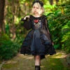 Starry Night Gothic Lolita Jumper Skirt 2 Starry Night Gothic Lolita Jumper Skirt -LOLITA Shop O1CN01cN3D4N1WerHIjohp8 11942814